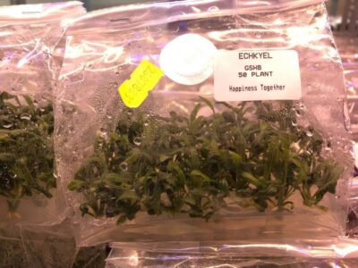 z5905488868997 0ab3948a41a18c3a025d3041bacdb910 1