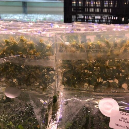 z5905488857738 e7133cbc38783106a895608b5ca91510 1