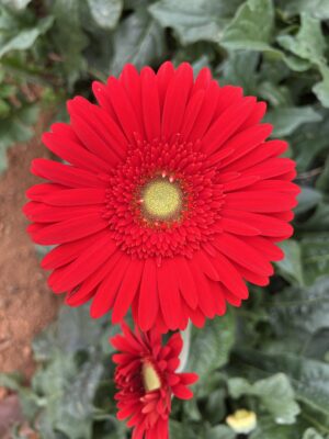 z6076985542168 8aa1cb24eceadff5c0047462f89447e4